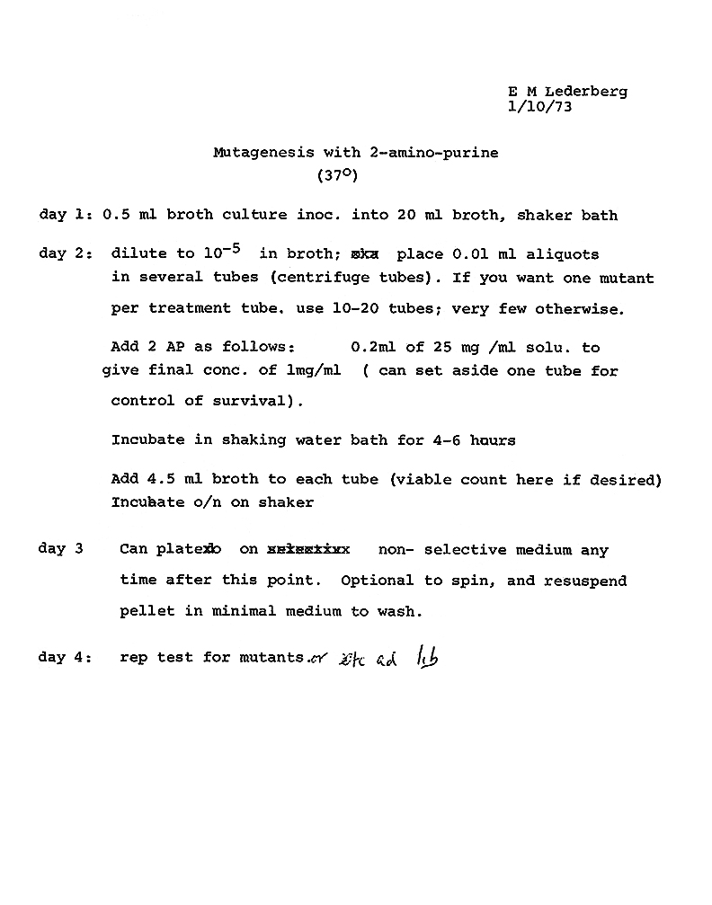 scan0037DE EML Mutagenesis 2-amino-purine 1-10-73